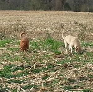 Meet your Posher, Jim